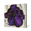 Georgia O'Keeffe,Purple Petunia,Purple flowers,canvas print,canvas art,canvas wall art,large wall art,framed wall art,p2686