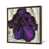 Georgia O'Keeffe,Purple Petunia,Purple flowers,canvas print,canvas art,canvas wall art,large wall art,framed wall art,p2686