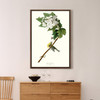 John James Audubon, Yellow throated Vireo,The Birds of America,canvas print,canvas art,canvas wall art,large wall art,framed wall art,p2509