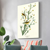 John James Audubon,Yellow Red poll Warbler,The Birds of America,canvas print,canvas art,canvas wall art,large wall art,framed wall art,p2508
