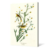 John James Audubon,Yellow Red poll Warbler,The Birds of America,canvas print,canvas art,canvas wall art,large wall art,framed wall art,p2508