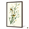 John James Audubon,Yellow Red poll Warbler,The Birds of America,canvas print,canvas art,canvas wall art,large wall art,framed wall art,p2508