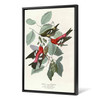 John James Audubon, White winged Crossbill,The Birds of America,canvas print,canvas art,canvas wall art,large wall art,framed wall art,p2496