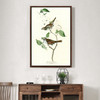 John James Audubon, White throated Sparrow,The Birds of America,canvas print,canvas art,canvas wall art,large wall art,framed wall art,p2495
