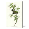 John James Audubon, Wood Pewee,The Birds of America,canvas print,canvas art,canvas wall art,large wall art,framed wall art,p2498