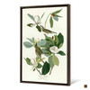 John James Audubon, Warbling Flycatcher,The Birds of America,canvas print,canvas art,canvas wall art,large wall art,framed wall art,p2488