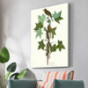 John James Audubon, Traill's Flycatcher,The Birds of America,canvas print,canvas art,canvas wall art,large wall art,framed wall art,p2483