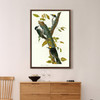John James Audubon, Three toed Woodpecker,The Birds of America,canvas print,canvas art,canvas wall art,large wall art,framed wall art,p2480