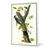 John James Audubon, Three toed Woodpecker,The Birds of America,canvas print,canvas art,canvas wall art,large wall art,framed wall art,p2480