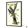 John James Audubon, Three toed Woodpecker,The Birds of America,canvas print,canvas art,canvas wall art,large wall art,framed wall art,p2480