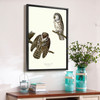 John James Audubon, Tengmalm's Owl,The Birds of America,canvas print,canvas art,canvas wall art,large wall art,framed wall art,p2478