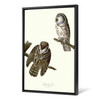 John James Audubon, Tengmalm's Owl,The Birds of America,canvas print,canvas art,canvas wall art,large wall art,framed wall art,p2478