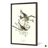 John James Audubon, Song Sparrow,The Birds of America,canvas print,canvas art,canvas wall art,large wall art,framed wall art,p2472