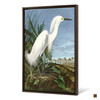 John James Audubon, Snowy Heron or White Egret,The Birds of America,canvas print,canvas art,canvas wall art,large wall art,framed art,p2469