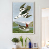 John James Audubon, Smew or White Nun,The Birds of America,canvas print,canvas art,canvas wall art,large wall art,framed wall art,p2467