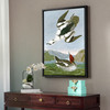 John James Audubon, Smew or White Nun,The Birds of America,canvas print,canvas art,canvas wall art,large wall art,framed wall art,p2467