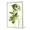 John James Audubon, Small Green Crested Flycatcher,The Birds of America,canvas print,canvas art,canvas wall art,large wall art,p2466