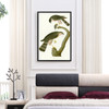 John James Audubon, Sharp shinned Hawk,The Birds of America,canvas print,canvas art,canvas wall art,large wall art,framed wall art,p2464