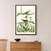 John James Audubon, Savannah Finch,The Birds of America,canvas print,canvas art,canvas wall art,large wall art,framed wall art,p2461