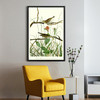 John James Audubon, Savannah Finch,The Birds of America,canvas print,canvas art,canvas wall art,large wall art,framed wall art,p2461