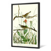 John James Audubon, Savannah Finch,The Birds of America,canvas print,canvas art,canvas wall art,large wall art,framed wall art,p2461