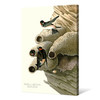 John James Audubon, Republican or Cliff Swallow,The Birds of America,canvas print,canvas art,canvas wall art,large wall art,framed art,p2450