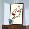 John James Audubon, Purple Finch,The Birds of America,canvas print,canvas art,canvas wall art,large wall art,framed wall art,p2438