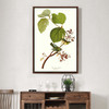 John James Audubon, Pine Swamp Warbler,The Birds of America,canvas print,canvas art,canvas wall art,large wall art,framed wall art,p2434