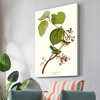John James Audubon, Pine Swamp Warbler,The Birds of America,canvas print,canvas art,canvas wall art,large wall art,framed wall art,p2434