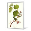 John James Audubon, Pine Swamp Warbler,The Birds of America,canvas print,canvas art,canvas wall art,large wall art,framed wall art,p2434