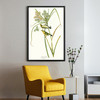 John James Audubon, Prairie Warbler,The Birds of America,canvas print,canvas art,canvas wall art,large wall art,framed wall art,p2436