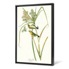 John James Audubon, Prairie Warbler,The Birds of America,canvas print,canvas art,canvas wall art,large wall art,framed wall art,p2436