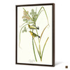 John James Audubon, Prairie Warbler,The Birds of America,canvas print,canvas art,canvas wall art,large wall art,framed wall art,p2436