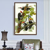 John James Audubon, Pileated Woodpecker,The Birds of America,canvas print,canvas art,canvas wall art,large wall art,framed wall art,p2430