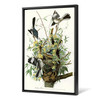 John James Audubon, Mocking Bird,The Birds of America,canvas print,canvas art,canvas wall art,large wall art,framed wall art,p2418