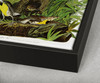 John James Audubon, Meadow Lark,The Birds of America,canvas print,canvas art,canvas wall art,large wall art,framed wall art,p2416
