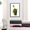 John James Audubon, Marsh Wren,The Birds of America,canvas print,canvas art,canvas wall art,large wall art,framed wall art,p2415