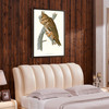 John James Audubon, Long eared Owl,The Birds of America,canvas print,canvas art,canvas wall art,large wall art,framed wall art,p2409