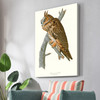 John James Audubon, Long eared Owl,The Birds of America,canvas print,canvas art,canvas wall art,large wall art,framed wall art,p2409