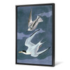 John James Audubon, Lesser Tern,The Birds of America,canvas print,canvas art,canvas wall art,large wall art,framed wall art,p2404