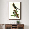 John James Audubon, Le Petit Caporal,The Birds of America,canvas print,canvas art,canvas wall art,large wall art,framed wall art,p2402