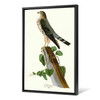 John James Audubon, Le Petit Caporal,The Birds of America,canvas print,canvas art,canvas wall art,large wall art,framed wall art,p2402