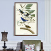 John James Audubon,Indigo Bird,The Birds of America,canvas print,canvas art,canvas wall art,large wall art,framed wall art,p2398