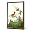 John James Audubon,Winter Wren,Rock Wren,The Birds of America,canvas print,canvas art,canvas wall art,large wall art,framed wall art,p2395