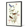 John James Audubon,Lazuli Finch,Clay coloured Finch,The Birds of America,canvas print,canvas art,canvas wall art,large wall art,framed,p2386