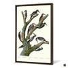John James Audubon,Maria's Woodpecker,The Birds of America,canvas print,canvas art,canvas wall art,large wall art,framed wall art,p2391