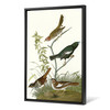 John James Audubon,Lark Finch,Prairie Finch,The Birds of America,canvas print,canvas art,canvas wall art,large wall art,framed art,p2385