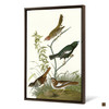John James Audubon,Lark Finch,Prairie Finch,The Birds of America,canvas print,canvas art,canvas wall art,large wall art,framed art,p2385