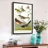 John James Audubon,Chestnut coloured Finch,Black headed Siskin,The Birds of America,canvas print,canvas art,canvas wall art,large art,p2379