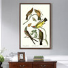 John James Audubon,I Arkansaw Flycatcher,The Birds of America,canvas print,canvas art,canvas wall art,large wall art,framed wall art,p2371